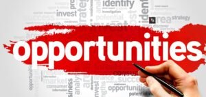 Read more about the article Business Opportunities for Growth and Profitable Success