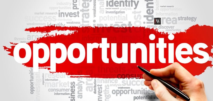 Business Opportunities for Growth and Profitable Success