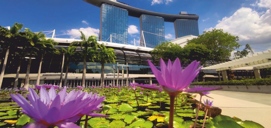 You are currently viewing Adelie expands into Asia with Singapore office to tap rising ESG demand